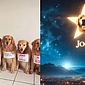 'Não somos bagagem': Goldens 'protestam' nas redes após morte do cão Joca; veja vídeo