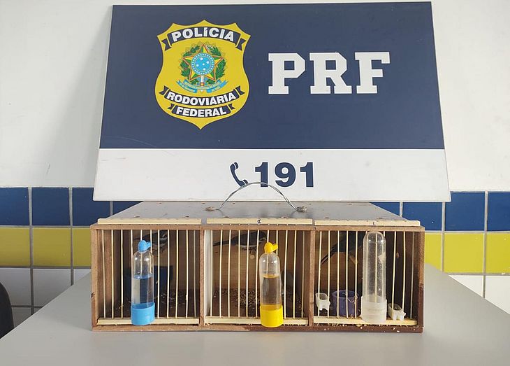 A Polícia Rodoviária Federal (PRF) 