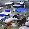 Cachorro ataca estudantes dentro de sala de aula em Goiás