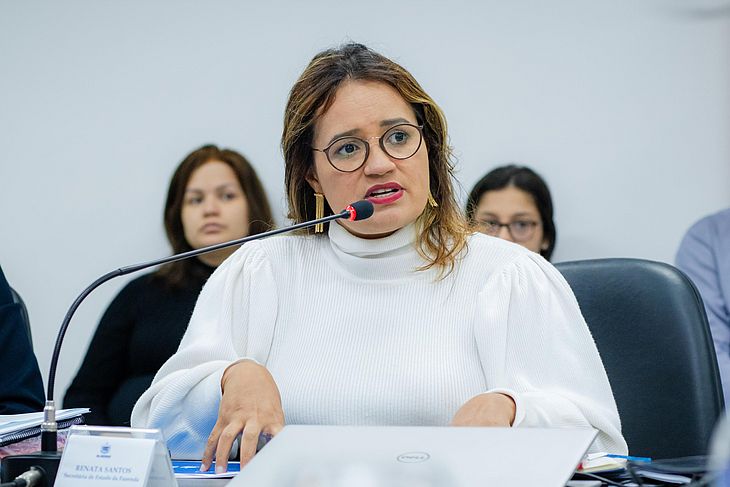 Secretária Renata Santos explica que o pedido de apoio visa a garantia de serviços e o equilíbrio financeiro dos estados