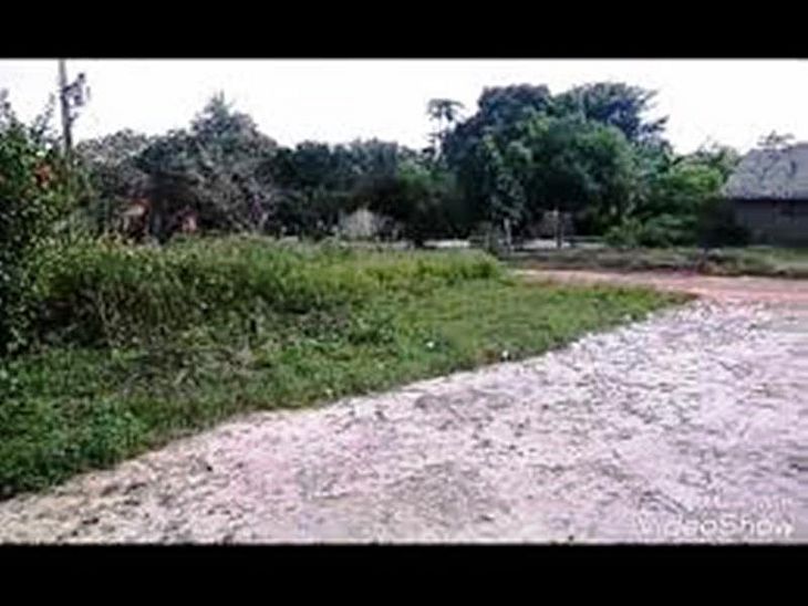 Estrada de acesso a  Itapecuru-Mirim