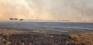 Incêndio destrói cerca de 10 mil hectares na Chapada dos Veadeiros