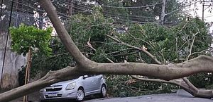 Cidade de São Paulo registra a ventania mais forte desde 1995, diz Defesa Civil