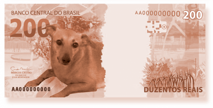 Montagem mostra vira-lata na nota de R$ 200: o animal não entrou na cédula, mas ganhou uma ponta em comercial