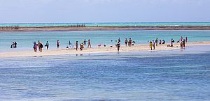 Vai à praia? Veja os trechos próprios e impróprios para banho no litoral de Alagoas