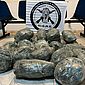 Polícia Civil apreende mais de 20 kg de maconha em Maceió