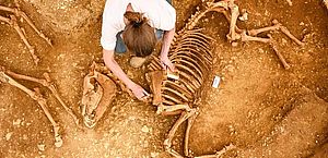 Arqueólogos encontram esqueletos de cavalos enterrados há 2 mil anos na França