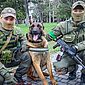 Cão de guerra abandonado por russos aprende comandos ucranianos 