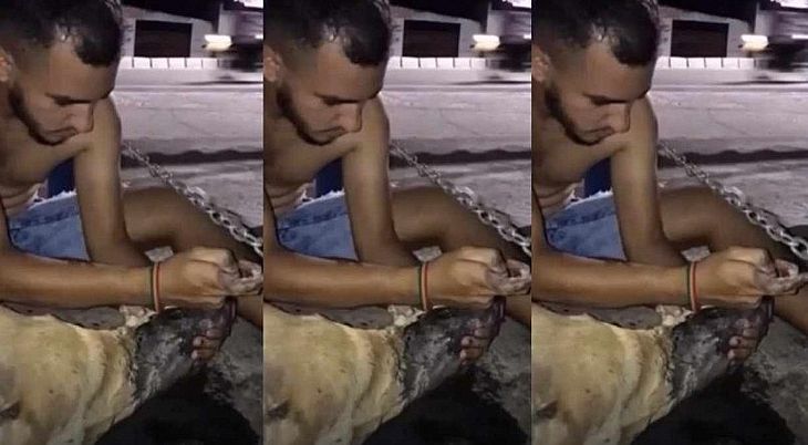 Homem salva cachorra de envenenamento 