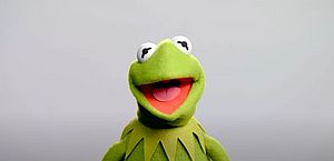 Cientistas nomeiam nova espécie fóssil de sapo de Kermit, dos Muppets