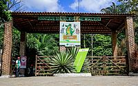 Parque Municipal de Maceió reabre para visitação do público neste sábado (13)