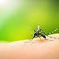 Três últimas mortes por dengue em Alagoas foram de vítimas de Maceió