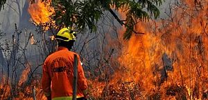 Cerrado é o bioma mais atingido por focos de incêndios florestais em 2022