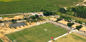 Atlético-MG treina no CT do CRB antes de viajar para jogo do Brasileirão; veja imagens 