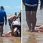 Quatro pessoas ficam feridas após ataque de tubarão em praia dos EUA