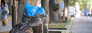 Comissão da Câmara aprova projeto para que planos municipais multem quem joga lixo na rua