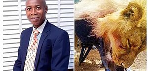 Tratador de animais morre ao ser atacado por leão em zoológico da Nigéria 