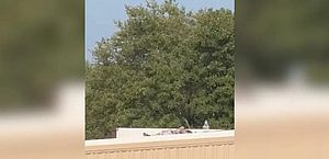 Policial subiu em telhado para tentar deter atirador de Trump, diz xerife
