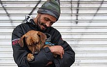 Justiça reconhece cão como membro da família e devolve animal a tutores em situação de rua