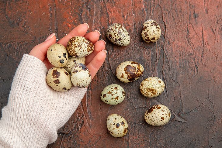 Ovos de codorna é um alimento nutritivo e com fontes de vitaminas