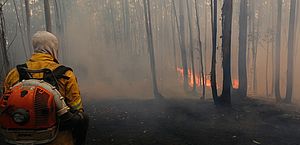 Dino determina ao governo Lula a convocação de bombeiros para o combate a queimadas