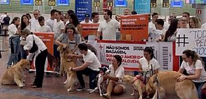 Donos e pets participam de ato em memória ao cão Joca, no Aeroporto Zumbi dos Palmares