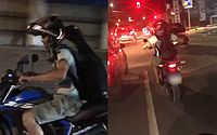 Um bode 'passeando' em uma moto pelas ruas de Maceió? Vídeo viraliza