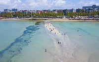 Litoral de Alagoas tem cinco trechos de praias impróprios para banho; veja os locais 