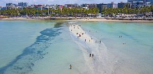 Litoral de Alagoas tem cinco trechos de praias impróprios para banho; veja os locais 