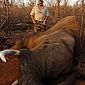 Caçador de animais selvagens é assassinado a tiros na África do Sul