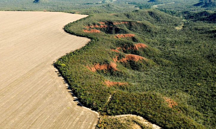 Levantamento é do Instituto de Pesquisa Ambiental da Amazônia