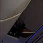 Turbulência: vídeo mostra passageiro resgatado no teto de avião, em voo internacional