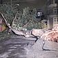 Árvore centenária de 10m de altura cai durante a noite em meio à chuva, no Centro de Maceió