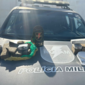 Denúncia leva polícia a apreender mais de 4 kg de maconha em Maceió 