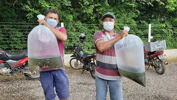 Agricultores familiares de Alagoas estão sendo beneficiados com as doações de alevinos